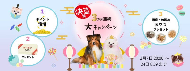 決算前3か月連続大キャンペーン！！