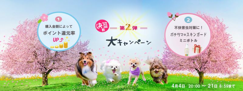 第２弾決算前大キャンペーン！