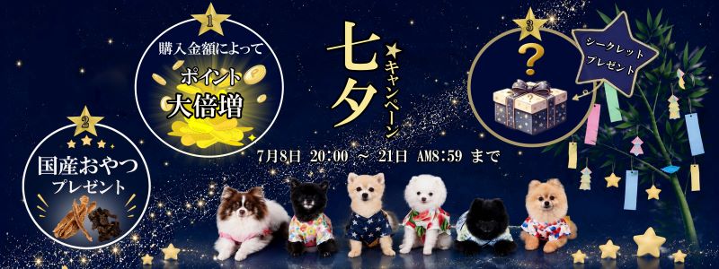 七夕キャンペーン