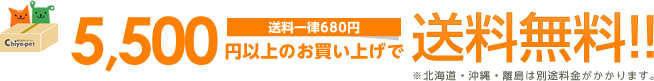 5,500円以上のお買い上げで送料無料!!(送料一律680円)