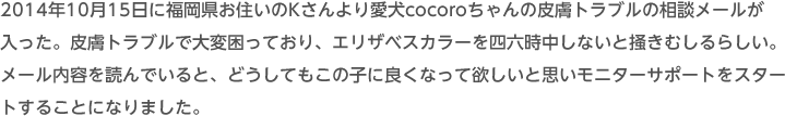 2014 10月15日に福岡県お住いのKさんより愛犬cocoroちゃんの皮膚トラブルの相談メールが入った。皮膚トラブルで大変困っており、エリザベスカラーを四六時中しないと掻きむしるらしい。メール内容を読んでいると、どうしてもこの子に良くなって欲しいと思いモニターサポートをスタートすることになりました。