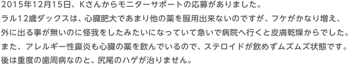 2015年12月15日 Kさんからモニターサポートの応募がありました。ラル12歳ダックスは、心臓肥大であまり他の薬を服用出来ないのですが、フケがかなり増え、外に出る事が無いのに怪我をしたみたいになっていて急いで病院へ行くと皮膚乾燥からでした。また、アレルギー性鼻炎も心臓の薬を飲んでいるので、ステロイドが飲めずムズムズ状態です。後は重度の歯周病なのと、尻尾のハゲが治りません。
