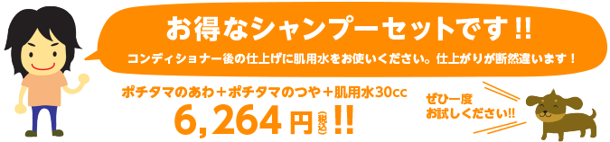 お得なシャンプーセットです!!コンディショナー後の仕上げに肌用水をお使いください。仕上がりが断然違います!