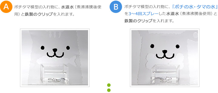 Aはポチタマ模型の入れ物に、水道水（煮沸沸騰後使用）
と鉄製のクリップを入れます。Bはポチタマ模型の入れ物に、「ポチの水・タマの水」を3 ～ 4 回スプレーした水道水（煮沸沸騰後使用）と鉄製のクリップを入れます。