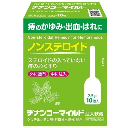 ヂナンコーマイルド 注入軟膏 2.5gx10個入