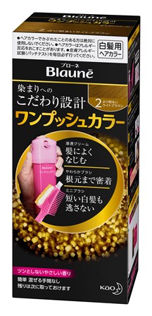 【お取り寄せ】ブローネ ワンプッシュカラー 2 より明るいライトブラウン