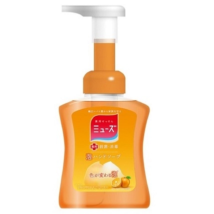 【お取り寄せ】薬用せっけんミューズ 泡ミューズ フルーティフレッシュ 本体 250ml