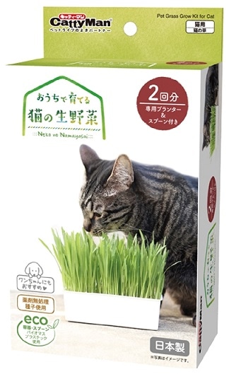 おうちで育てる猫の生野菜 2回分