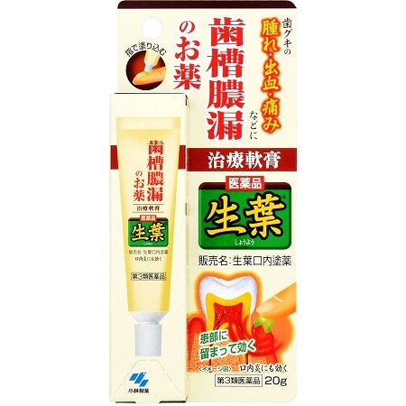 生葉口内塗薬 20g